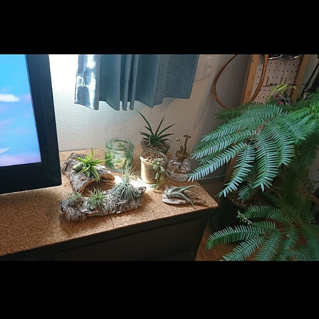 piiiiiiiさんの実例写真