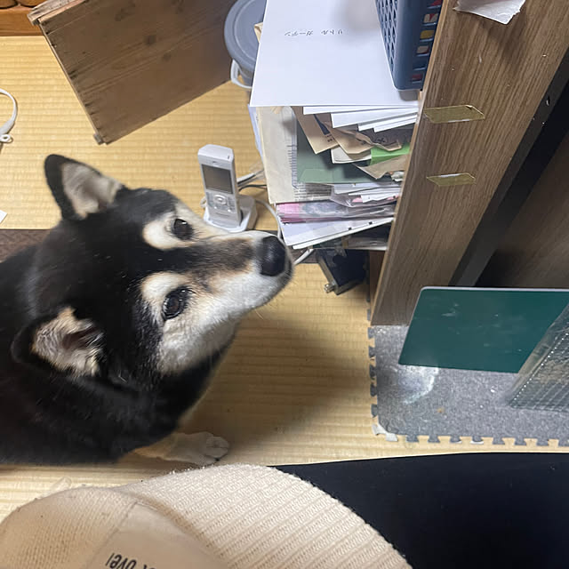 calmeさんの部屋