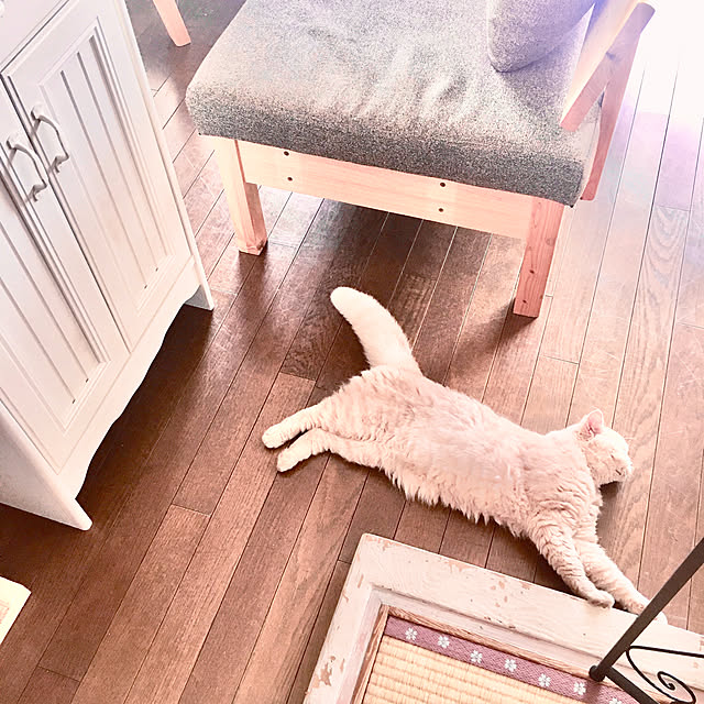 naokoさんの実例写真