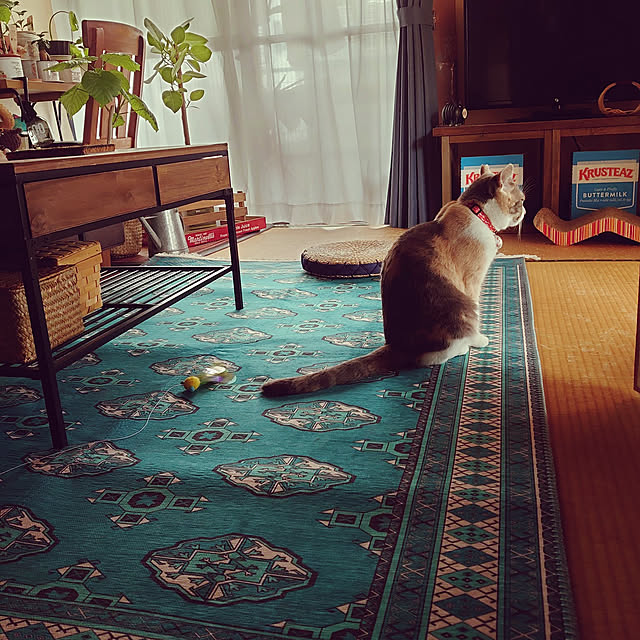 fukuさんの実例写真