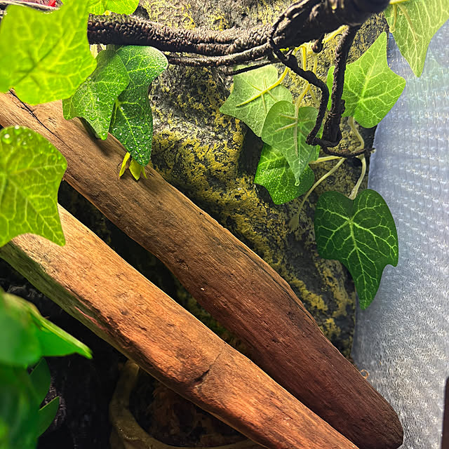 otanuさんの部屋