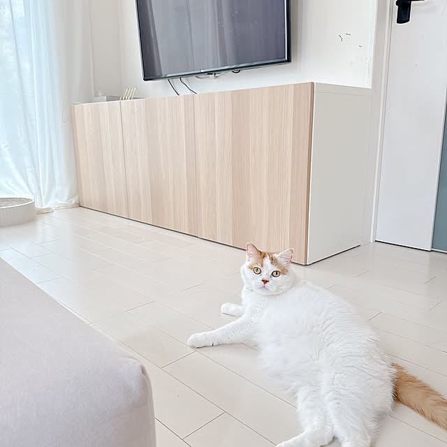 chamihomeさんの実例写真