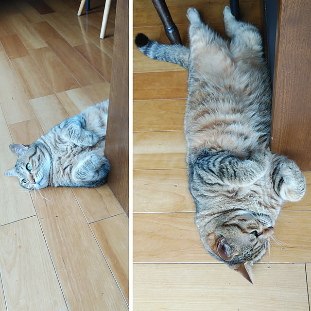 annさんの実例写真