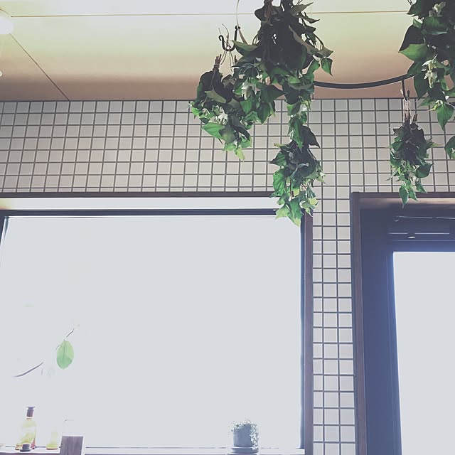 rsyyyさんの実例写真