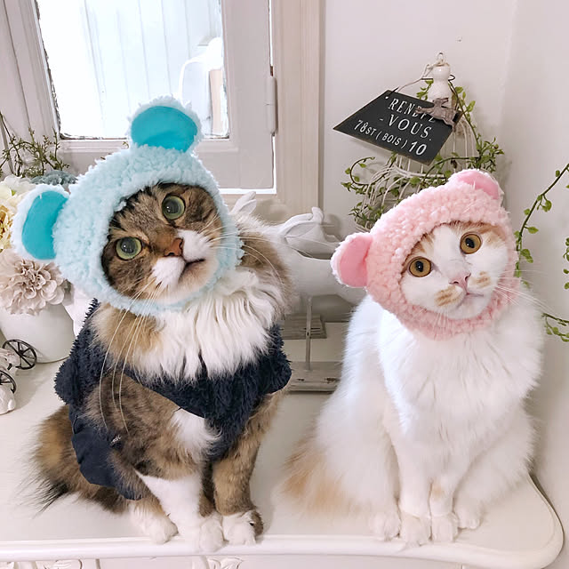 yuchiさんの実例写真