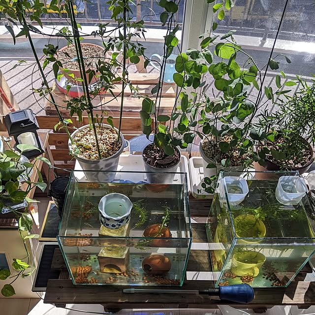 mi-saさんの部屋