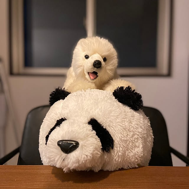 sinsinさんの実例写真