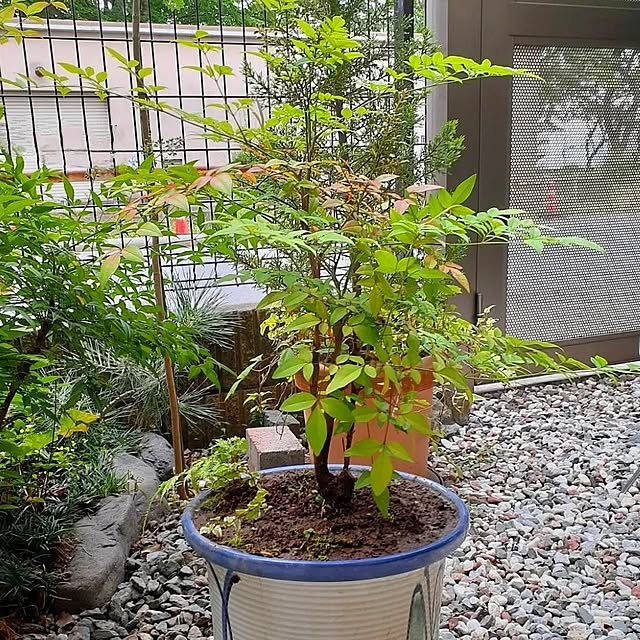 実例写真