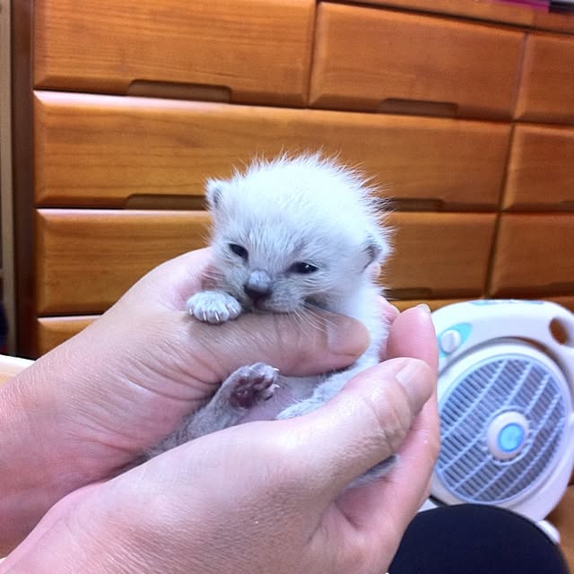 dodoさんの実例写真