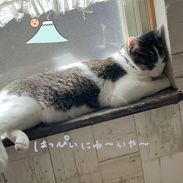 Akiさんの実例写真