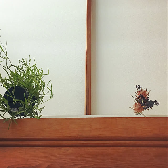k1nac0さんの実例写真