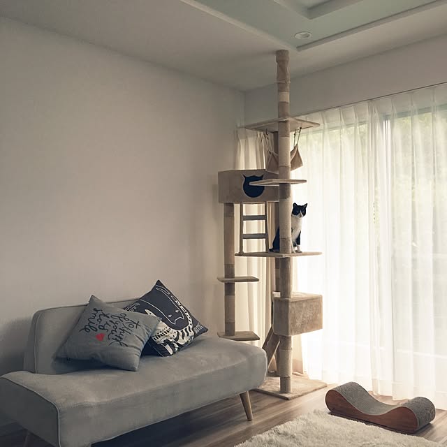 stskzmさんの実例写真
