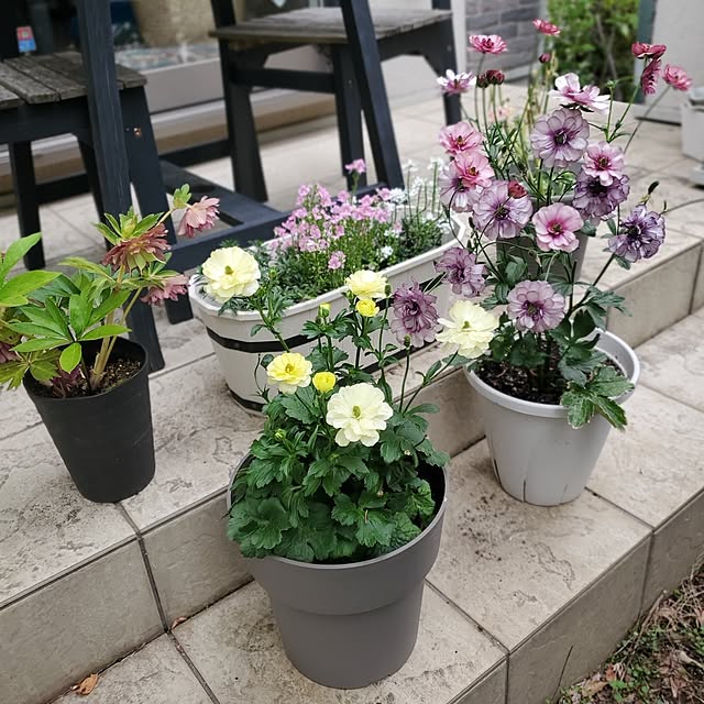 MARIE.color.interiorさんの実例写真
