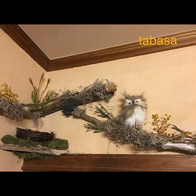 tabasaさんの実例写真