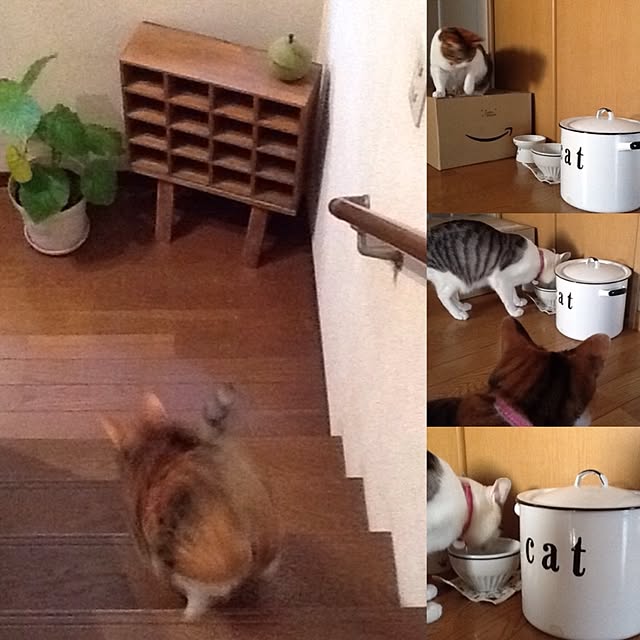 Mikaさんの実例写真