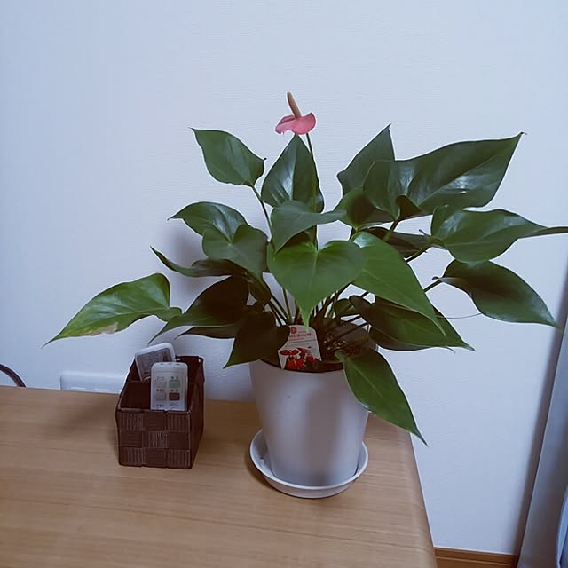 ryux3さんの実例写真