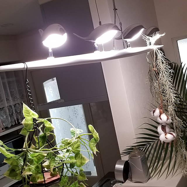 pinkpho050さんの実例写真