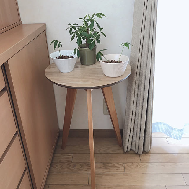 katoponさんの部屋