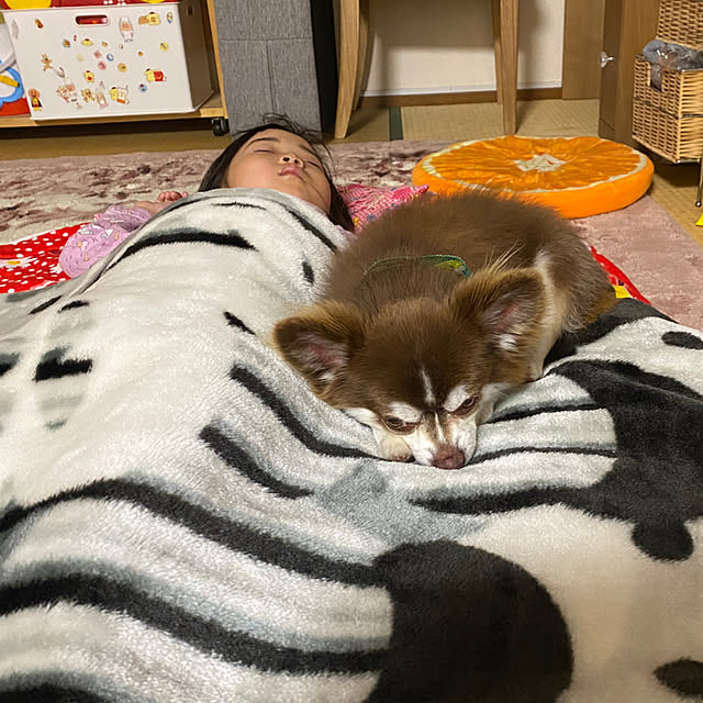 chIoeさんの部屋