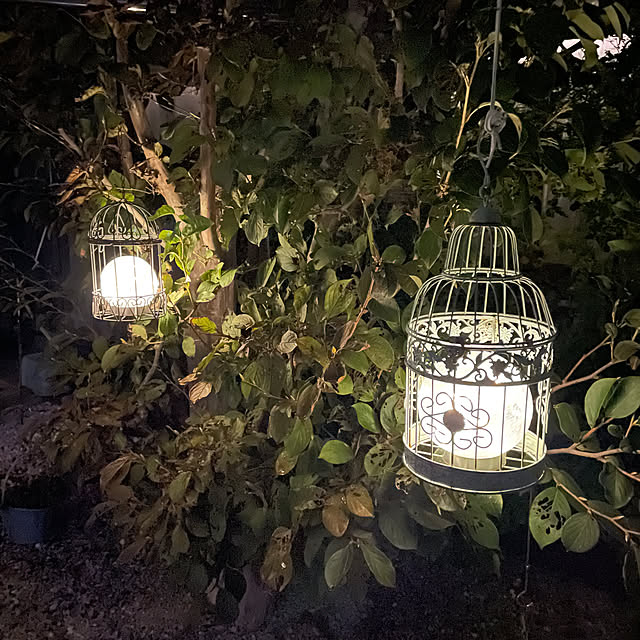 ronronさんの部屋