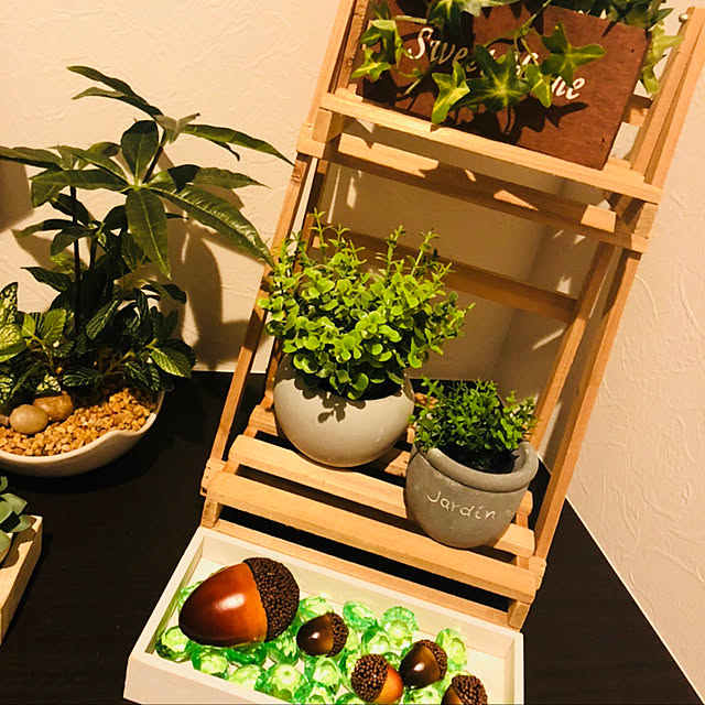 100均/ニトリ/玄関/入り口のインテリア実例 - 2019-03-23 23:44:10