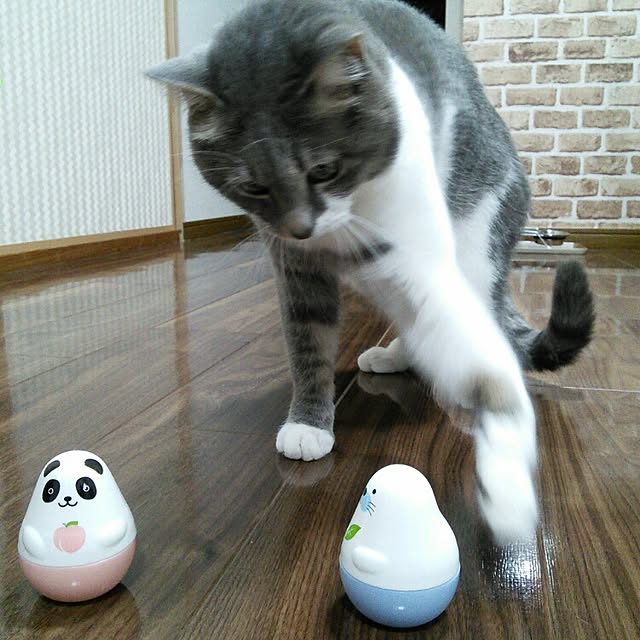 lovepandaさんの実例写真