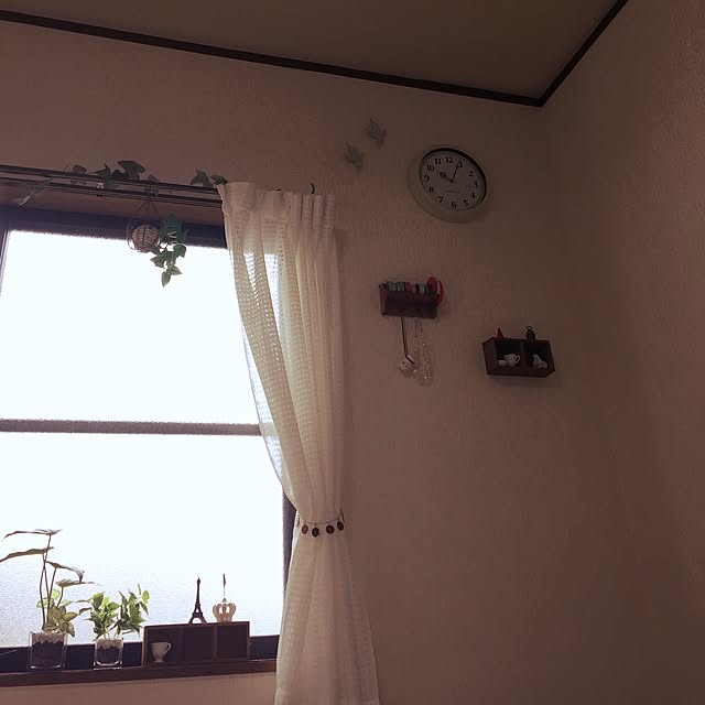 pomponさんの実例写真