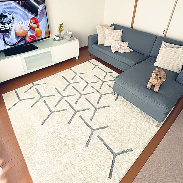 kawauso15さんの実例写真