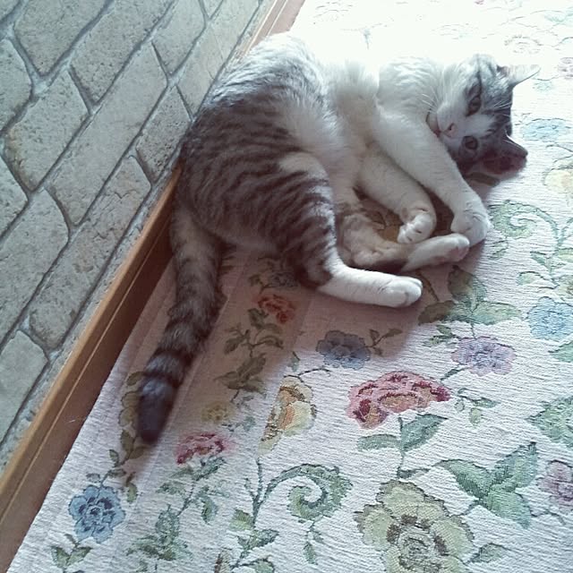 emmyyさんの実例写真