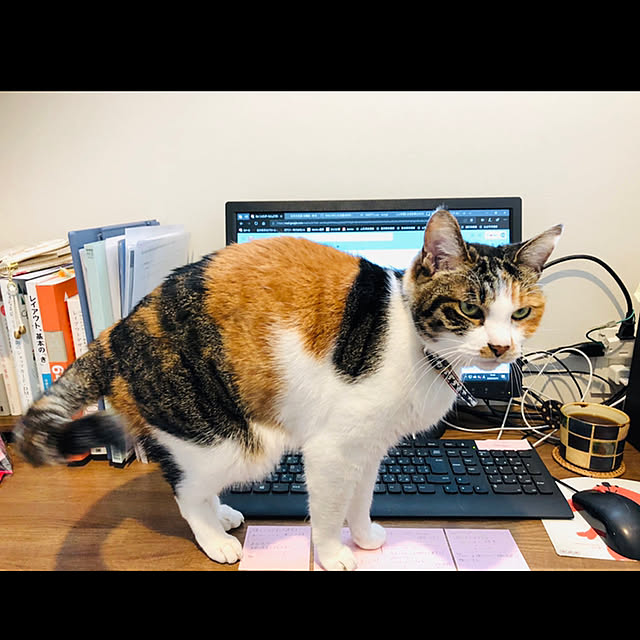 Maruさんの実例写真