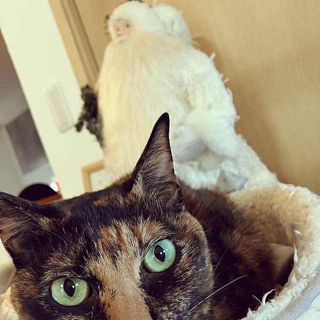 wahahaさんの部屋