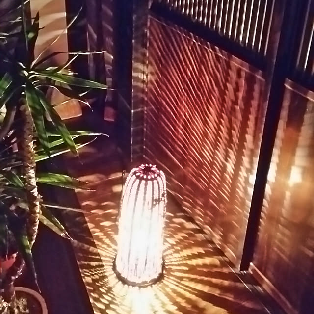 naoさんの実例写真