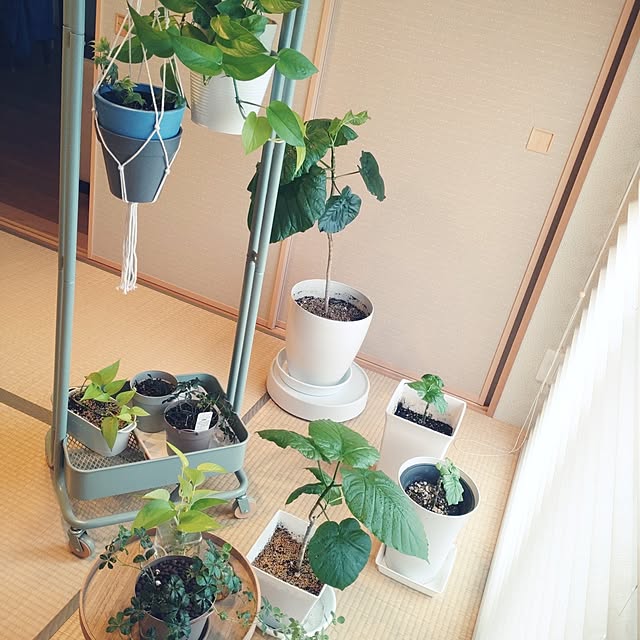tan5さんの実例写真