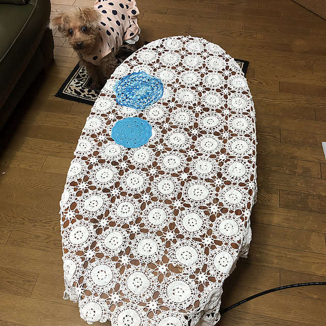 miporinさんの実例写真