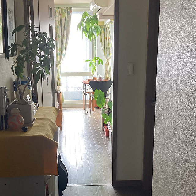 kamelittoさんの実例写真