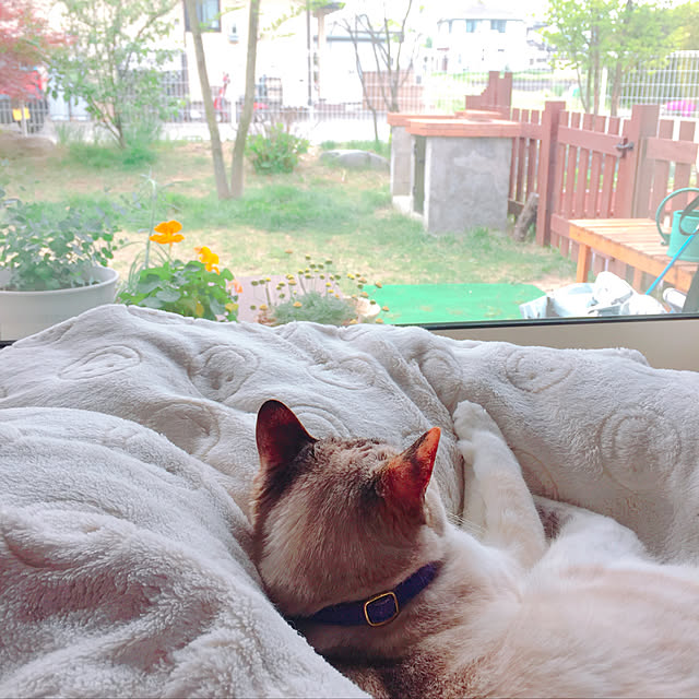 nanaさんの実例写真