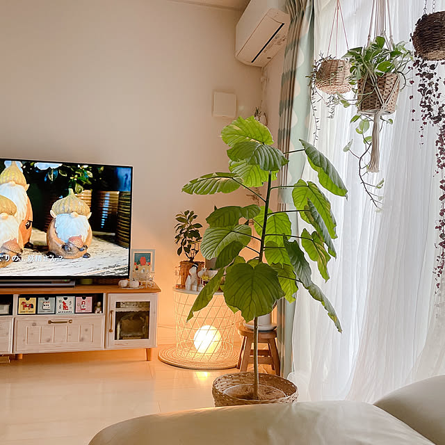 akiko-ovさんの部屋