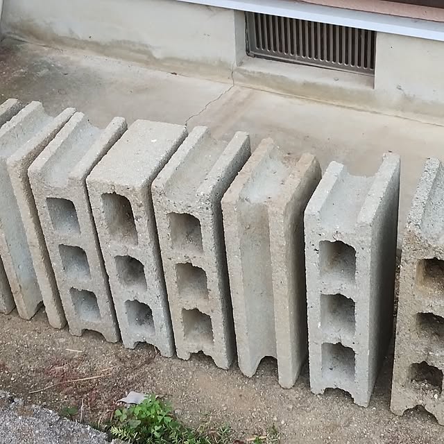 Doryさんの部屋