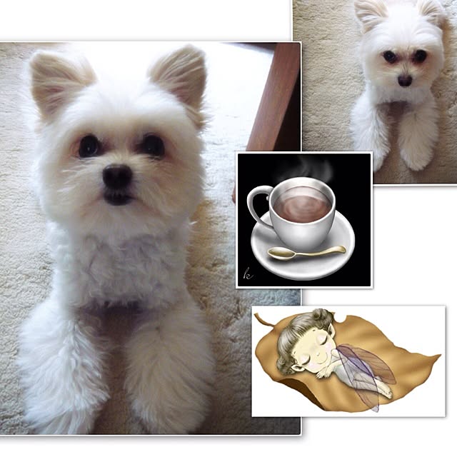 ksyanさんの実例写真