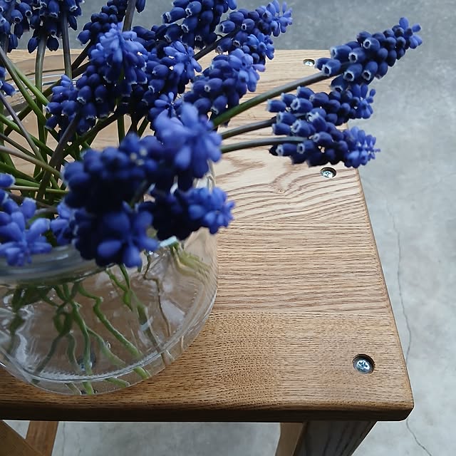 chidorinさんの部屋