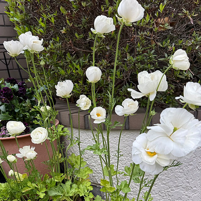 mamizaさんの部屋