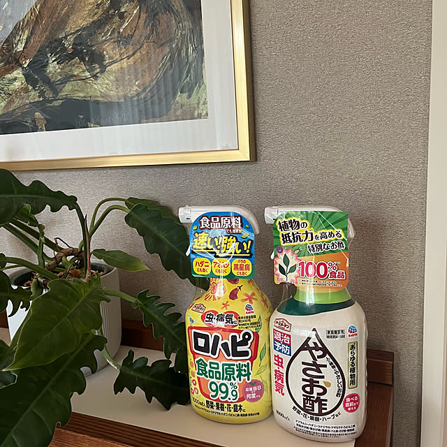 Virolさんの実例写真