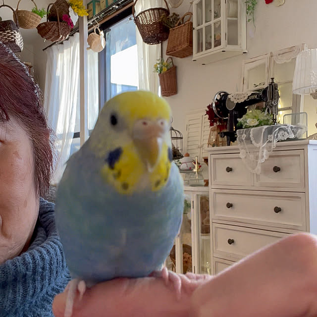 Atsukoさんの部屋