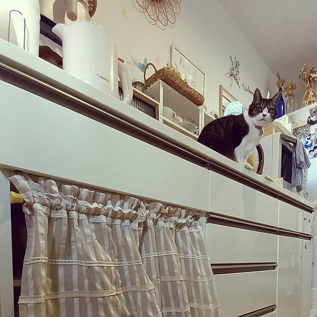 civicglさんの実例写真