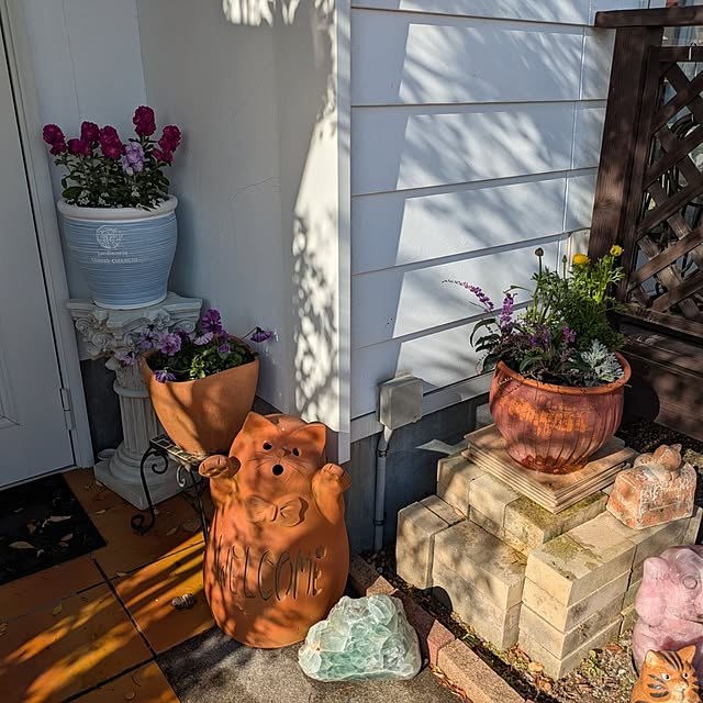 kikufujiさんの部屋