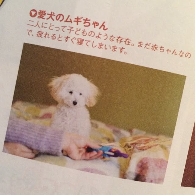 kazuminhaさんの実例写真