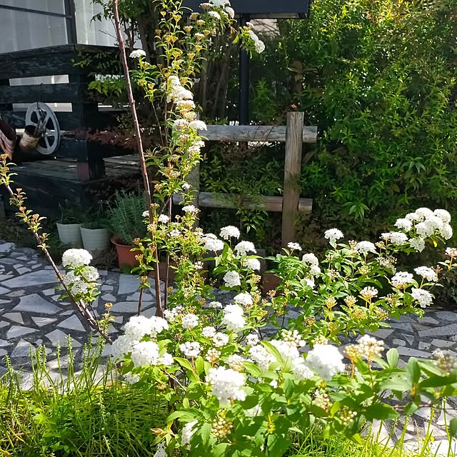 michiさんの実例写真