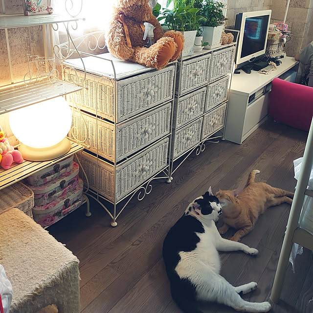 asuminさんの実例写真