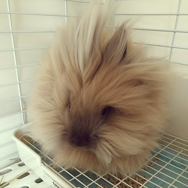 mさんの実例写真