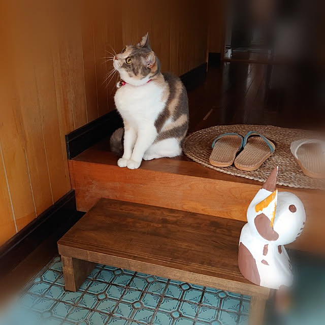 fukuさんの実例写真